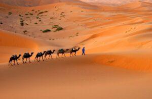 4 days Marrakech desert tour