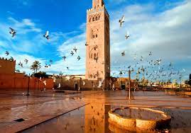 8 days Marrakech tours 