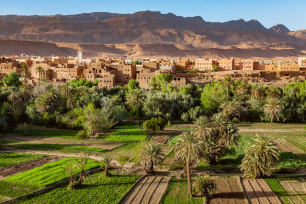 6 days tour from casablanca to marrakech